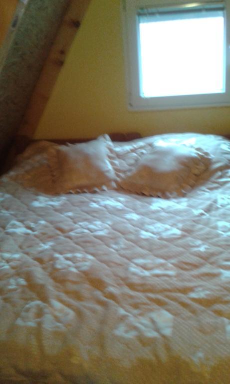 Apartment Mg Žabljak Eksteriør bilde